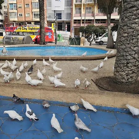 Apartmán Pescadores If *